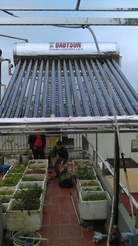 Công Ty CP XNK Quốc Tế Năng Lượng Thái Bình Dương